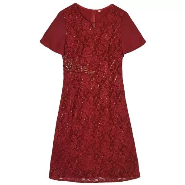 160122#Burgundy Red Lace Short-Sleeve A-Line Midi Dress